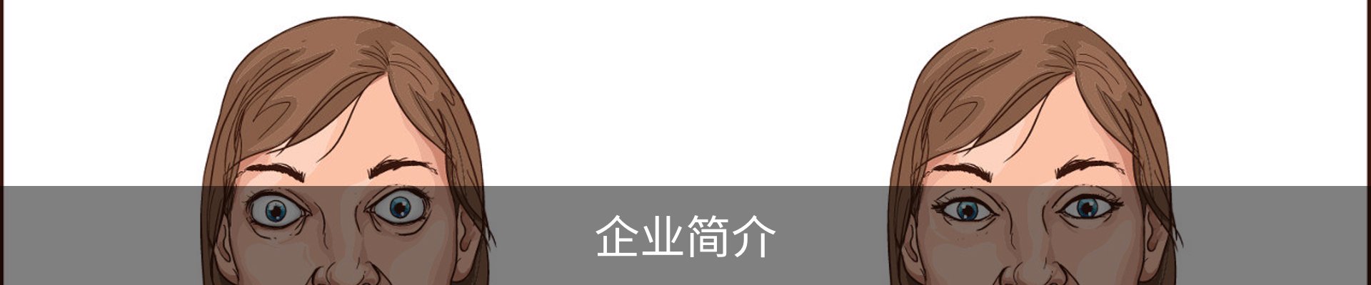 企业简介